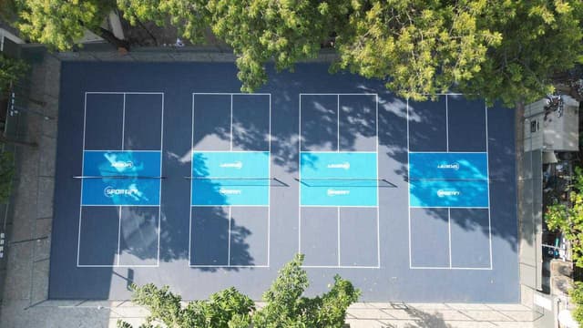 Professional Pickleball Court